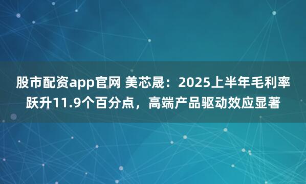 股市配资app官网 美芯晟：2025上半年毛利率跃升11.9个百分点，高端产品驱动效应显著