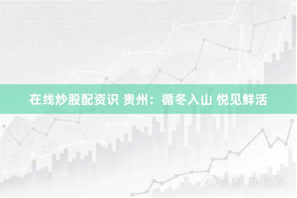 在线炒股配资识 贵州：循冬入山 悦见鲜活